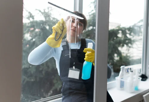 Nettoyage de vitres intérieures et extérieures à Lussat